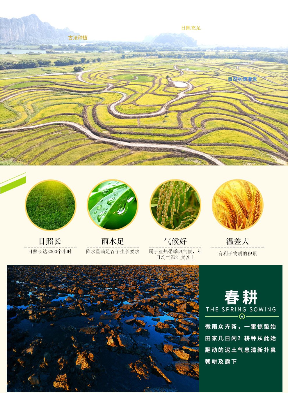 廣西桂鼎農業(yè)發(fā)展有限公司