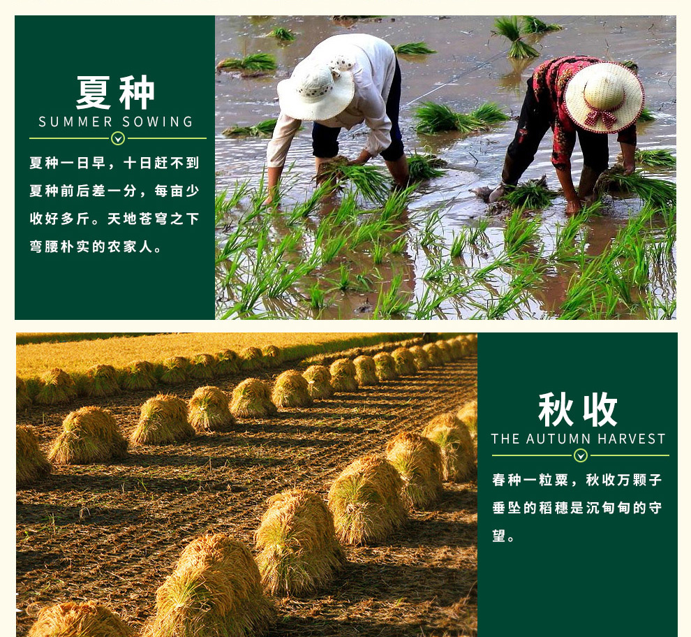 廣西桂鼎農業(yè)發(fā)展有限公司